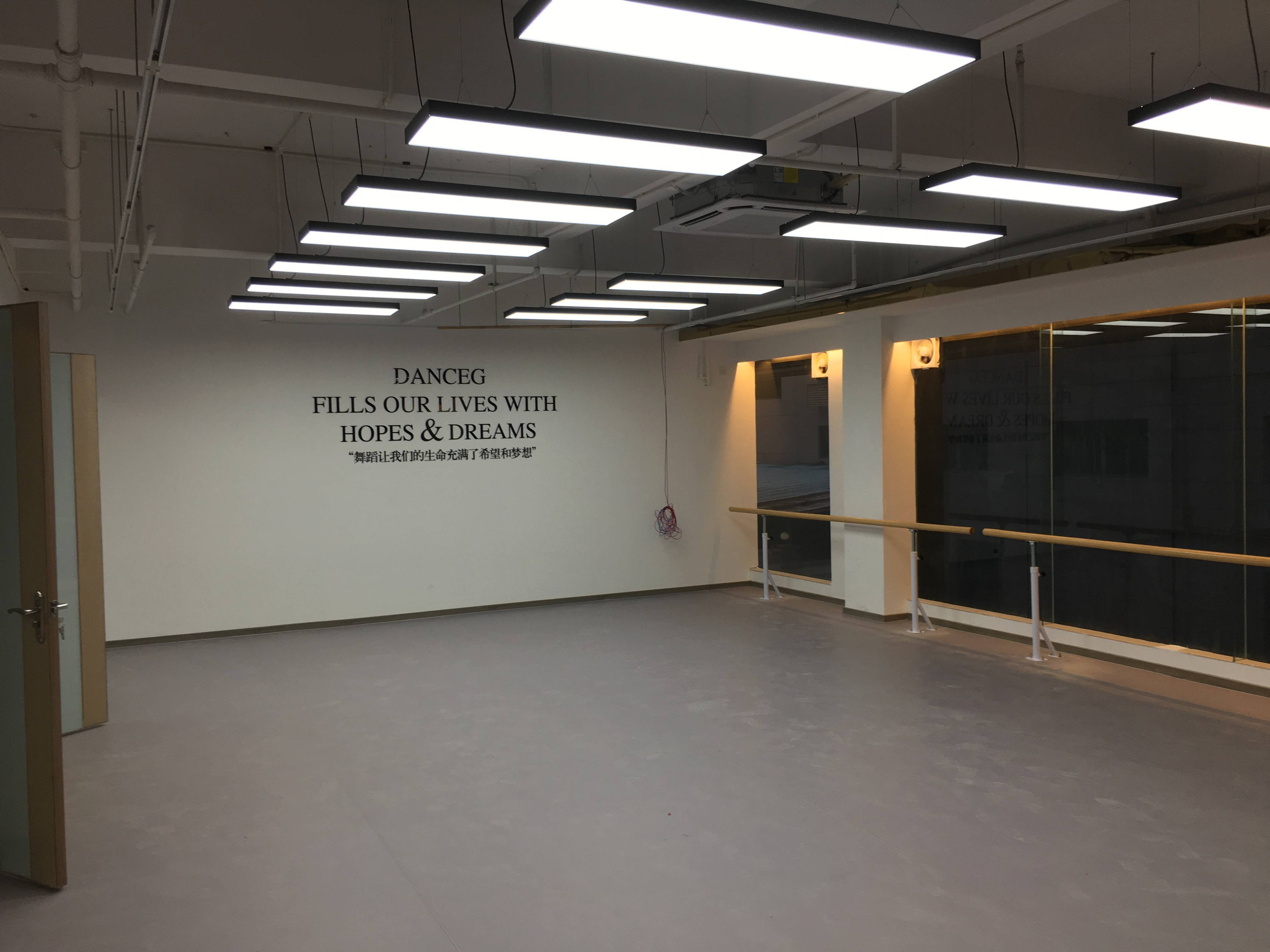 舞蹈地胶地垫健身房pvc专业专用教室塑胶运动地板室内芭蕾幼儿园