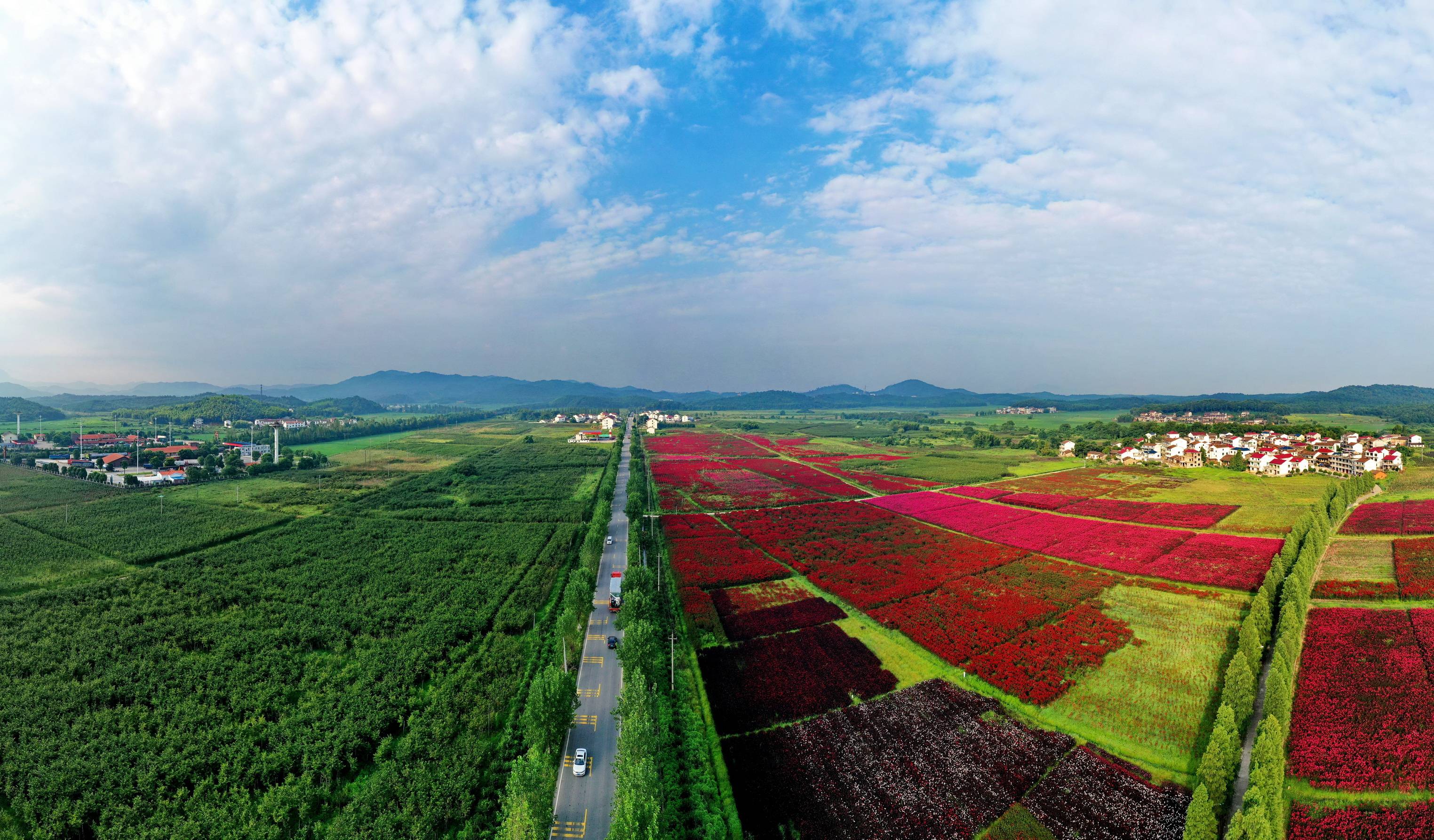 江西金溪 锦绣田园 画里乡村