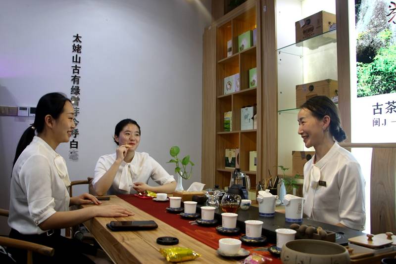 始祖|“绿雪芽”白茶——中国福鼎大白茶始祖