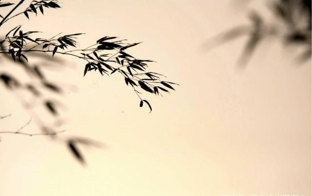 0a82416e2882413990185e0a8bab3f26.png