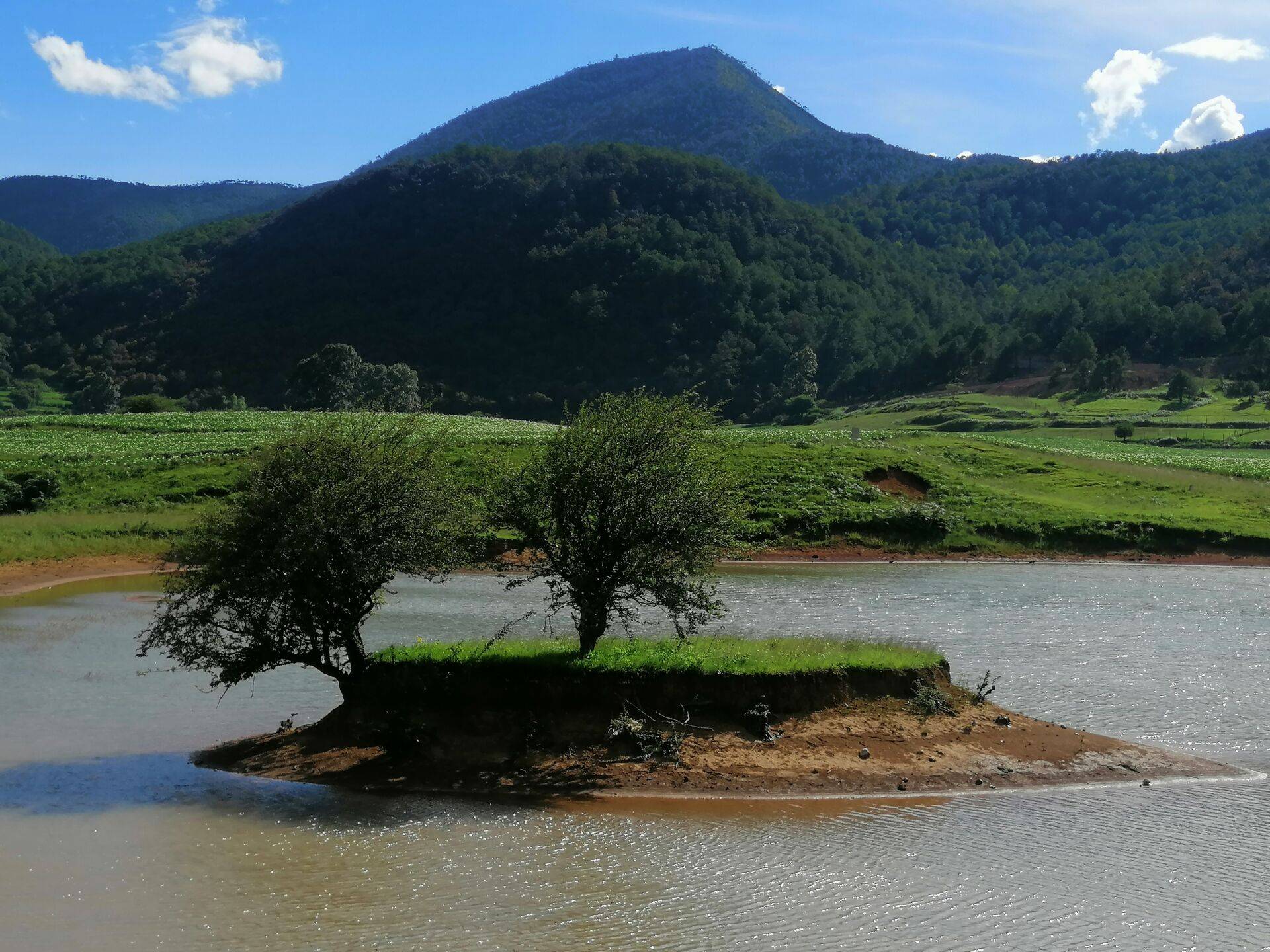 丽江雪山后花园九子海的绿野芳踪