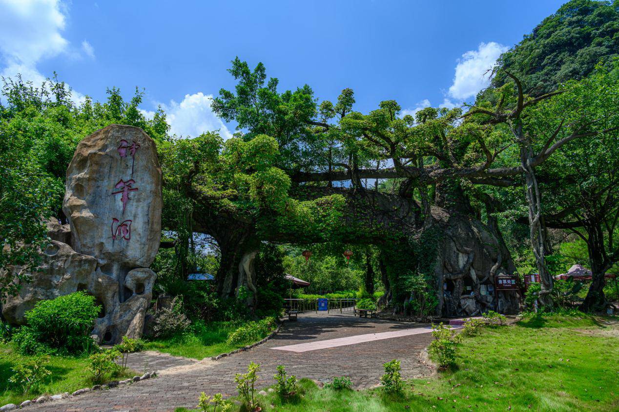 广东第一峰|阳山两天一夜自驾攻略！不跟团、不拥挤，一定不要错过了！