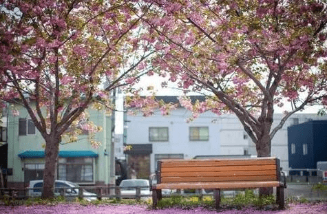 8月12日开始 4个星座事业运彻底爆发 升职加薪 咸鱼翻身 时来运转 金牛座