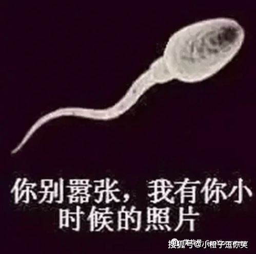 陳海：當初導演說，大部分是床戲，我劇本都沒看就接了！ 搞笑整蠱 第3张