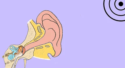 声场|吸声场所必备——美穗无机高强吸声板