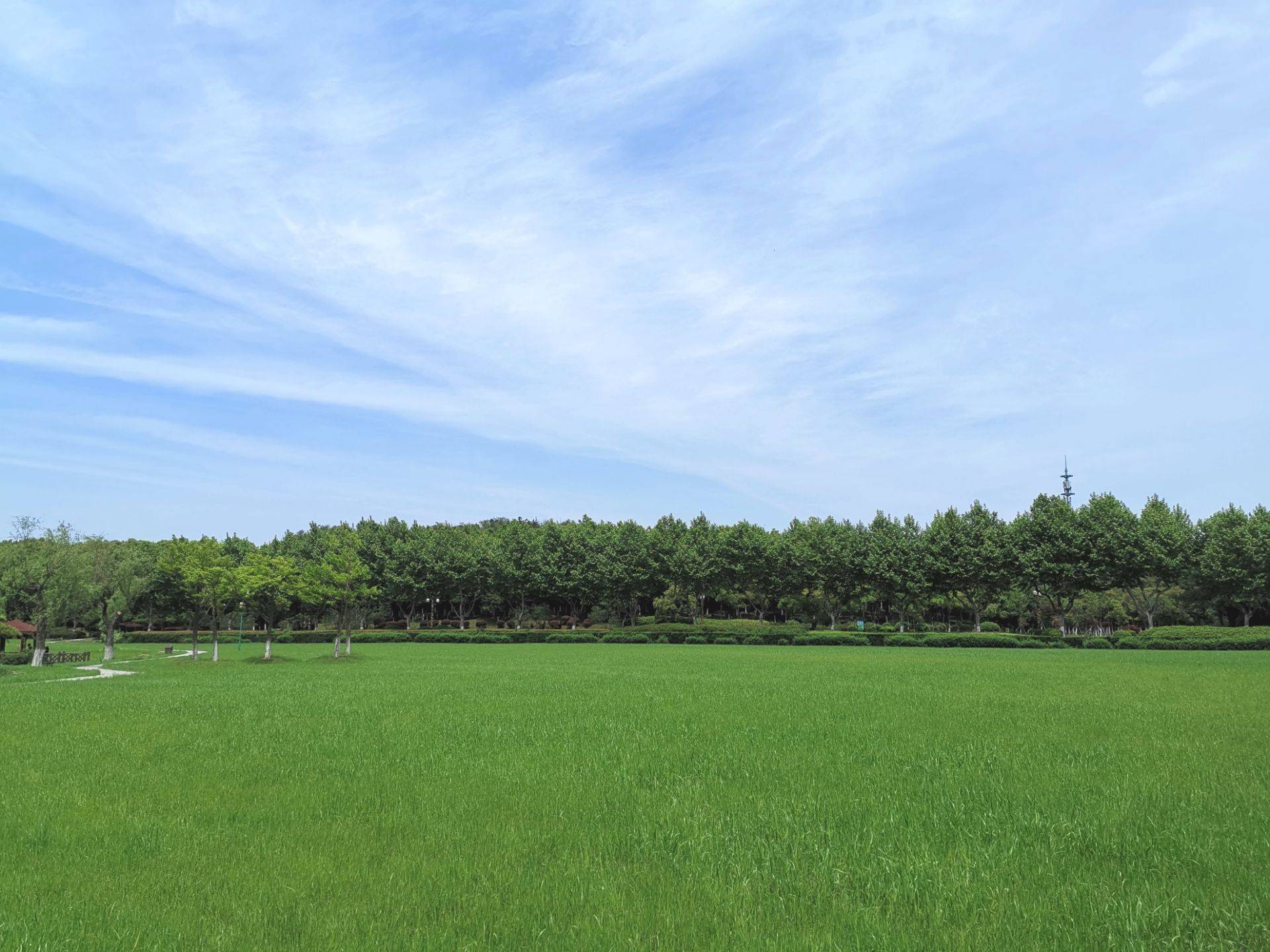 宜兴|龙背山森林公园