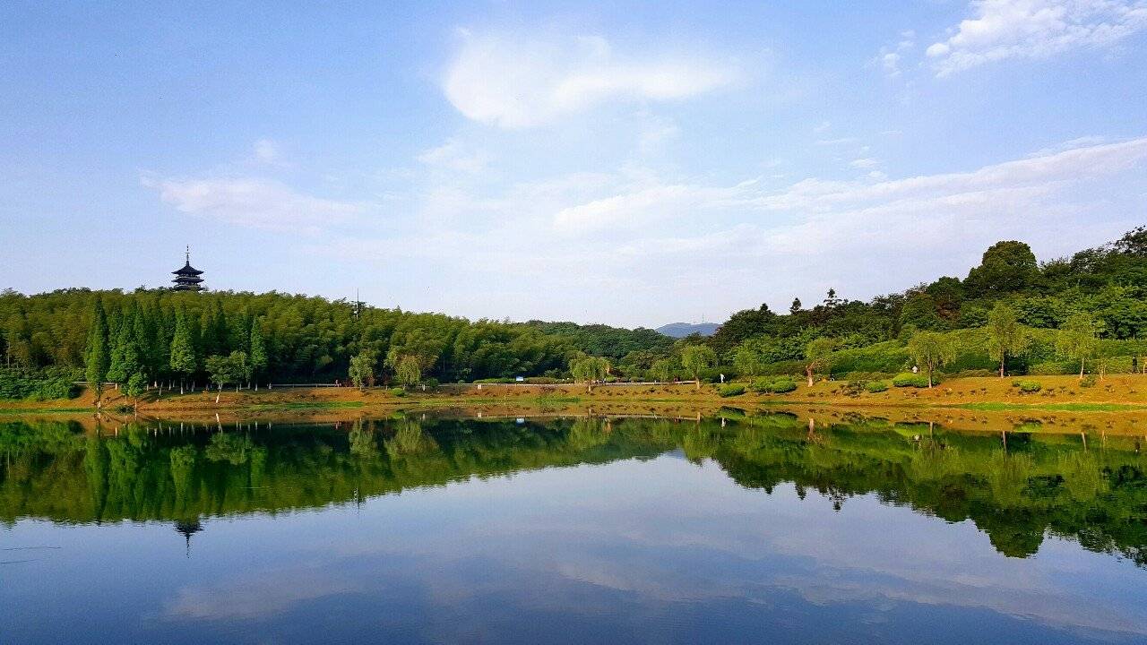 宜兴|龙背山森林公园