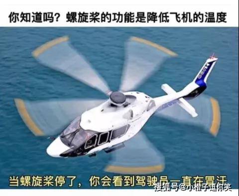 爆笑時刻：​你真的知道螺旋槳的作用嗎？ 搞笑整蠱 第6张
