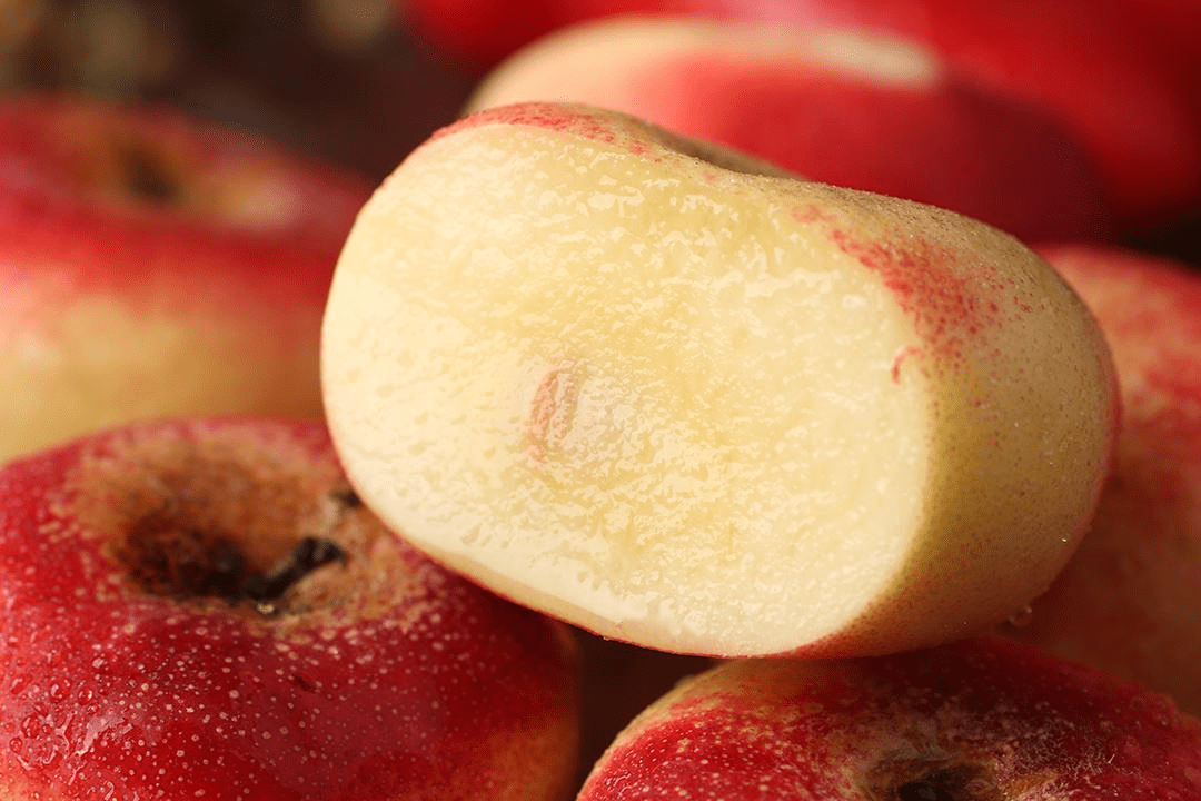 桃子苗批发,油蟠桃的介绍