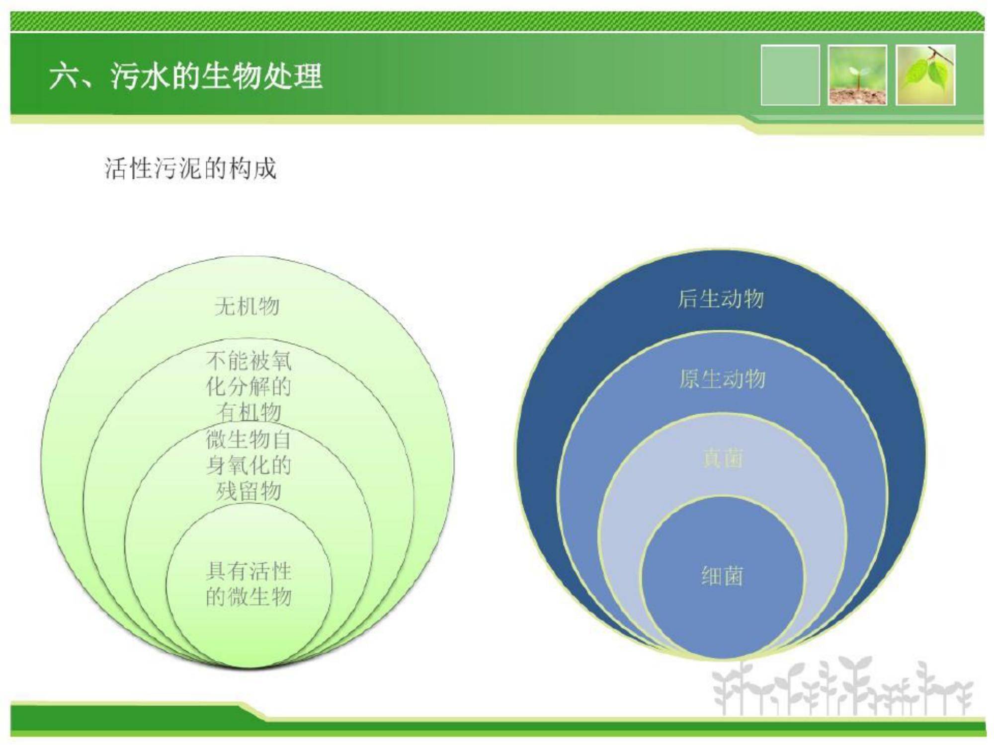 汙水的生物處理