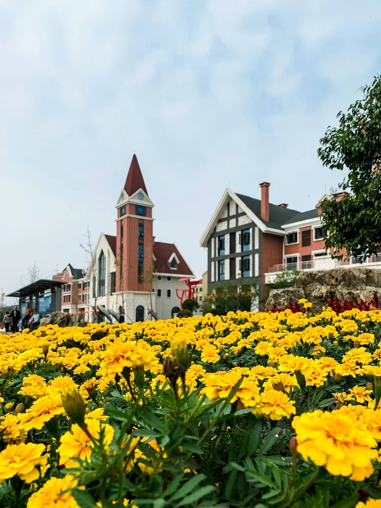 日照新兴旅游小镇王家皂旅游小镇离海仅一路之隔