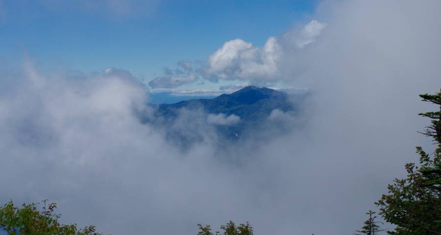 谁来决定空调产业的出路？-家电圈官网