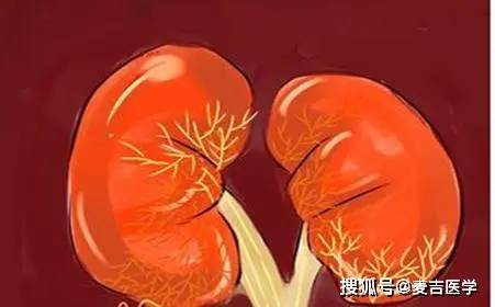 尿频尿急是不是肾不好 09039fccc7694320a6df4b9d2cf9df30.jpeg