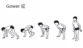 ad514b3060f2473cbd54b2d42f2a77fb.png