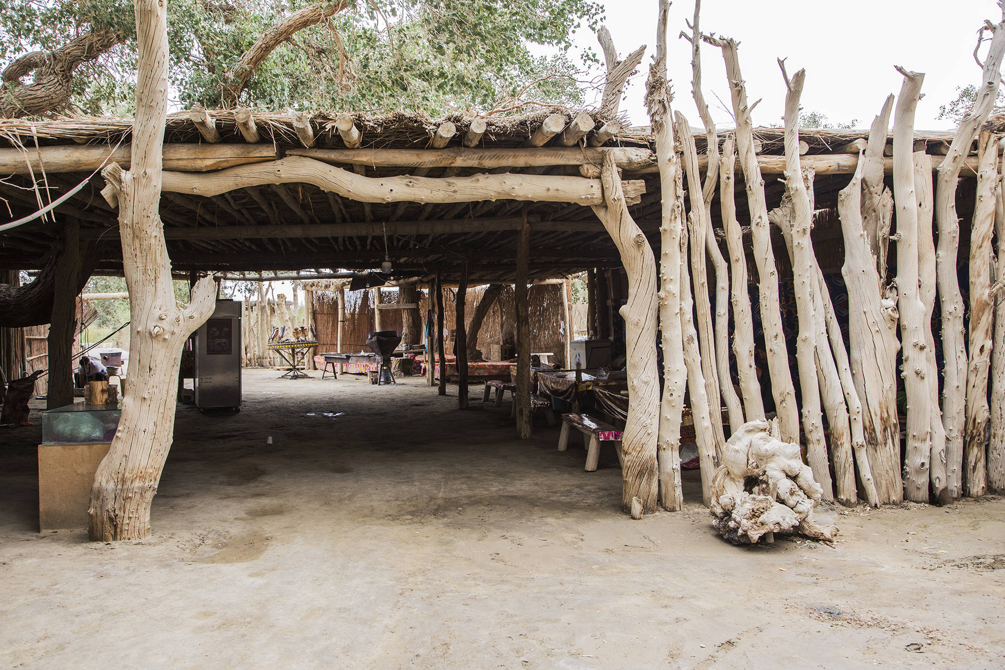 神秘的罗布人村寨,最后的罗布人所居住的世外桃源