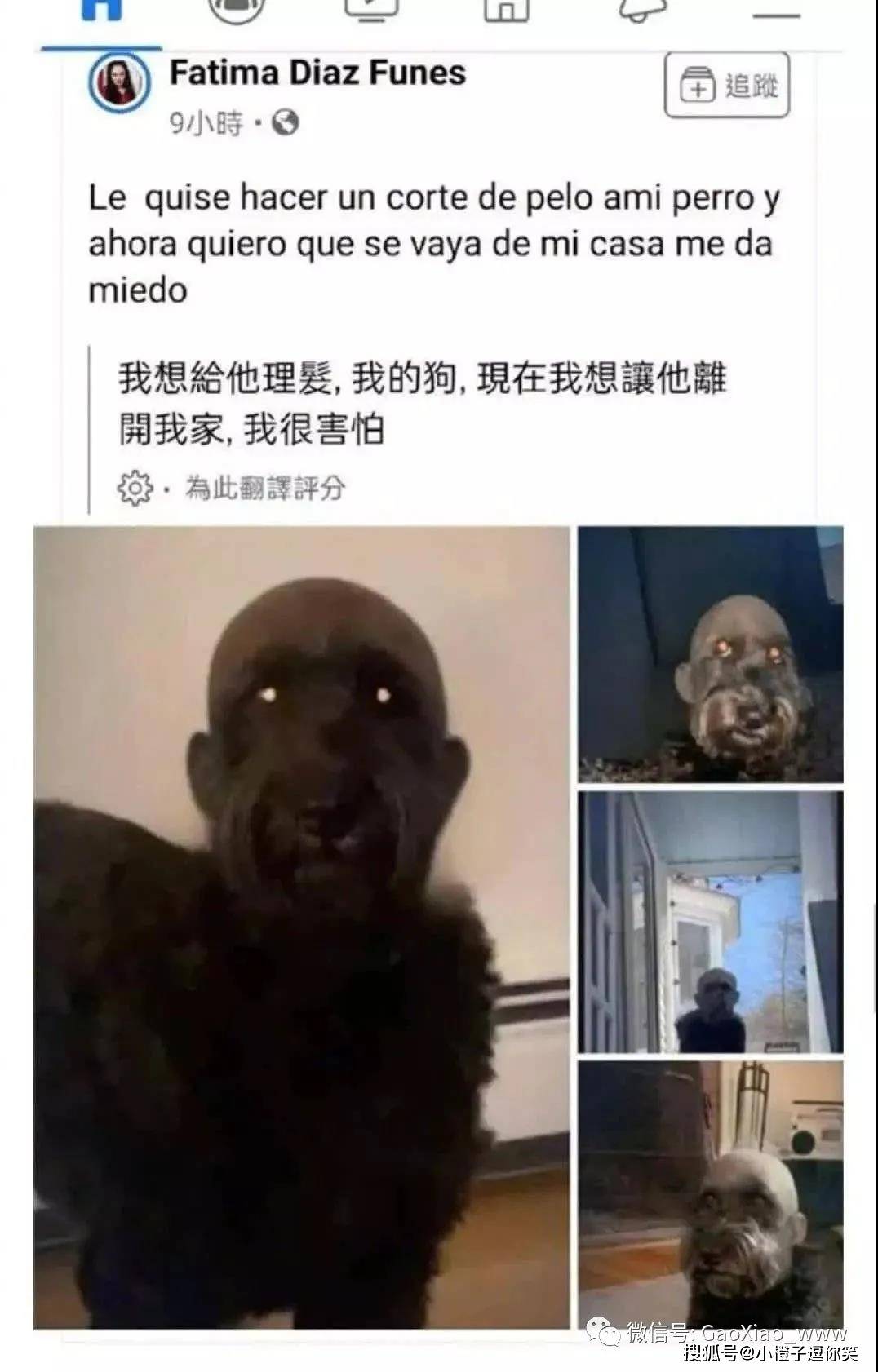 搞笑圖片：老婆讓我跟她閨蜜先走，留下這麼一句話！ 搞笑整蠱 第7张