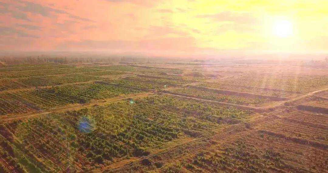 路子|看中国好声音和凯仕丽，“路子”越走越宽