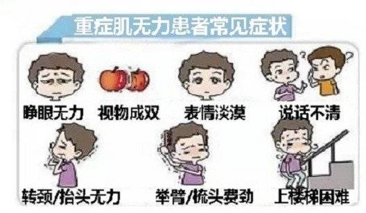 症状|重症肌无力，是肌肉出问题了吗？