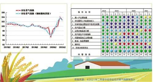 农民自己的粮食计入gdp_粮食生产与农民收入关系的回顾与分析(2)