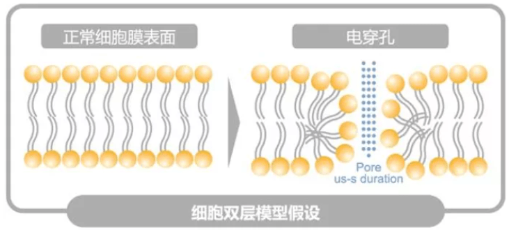 夏天|防晒做不好，一个夏天让你比同龄人老10岁！如何修复光老化？