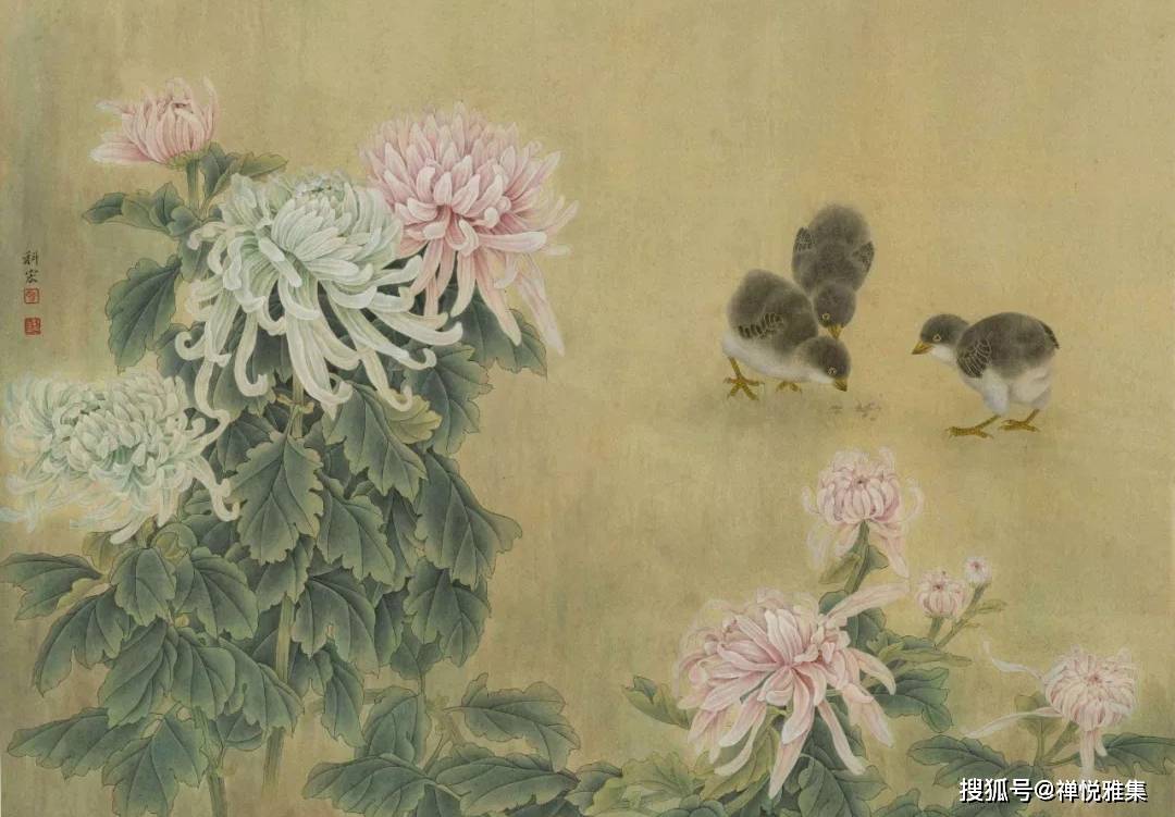 上海普陀区家庭品茶 中国花