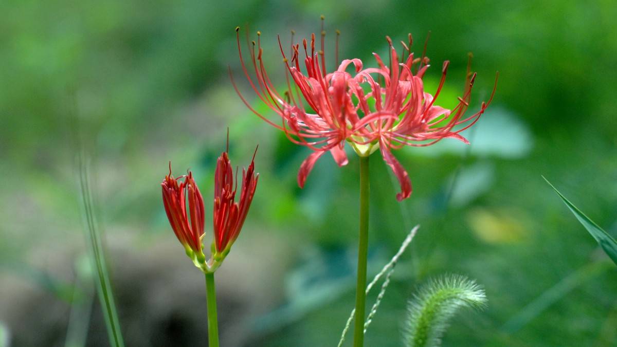 8月28日到31日 有贵人相助 财运亨通 遇到真爱的四生肖 生活