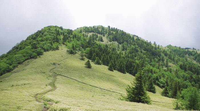 梁昭贤亲自带队深耕一线，格兰仕新战略落地找到突破口-家电圈官网