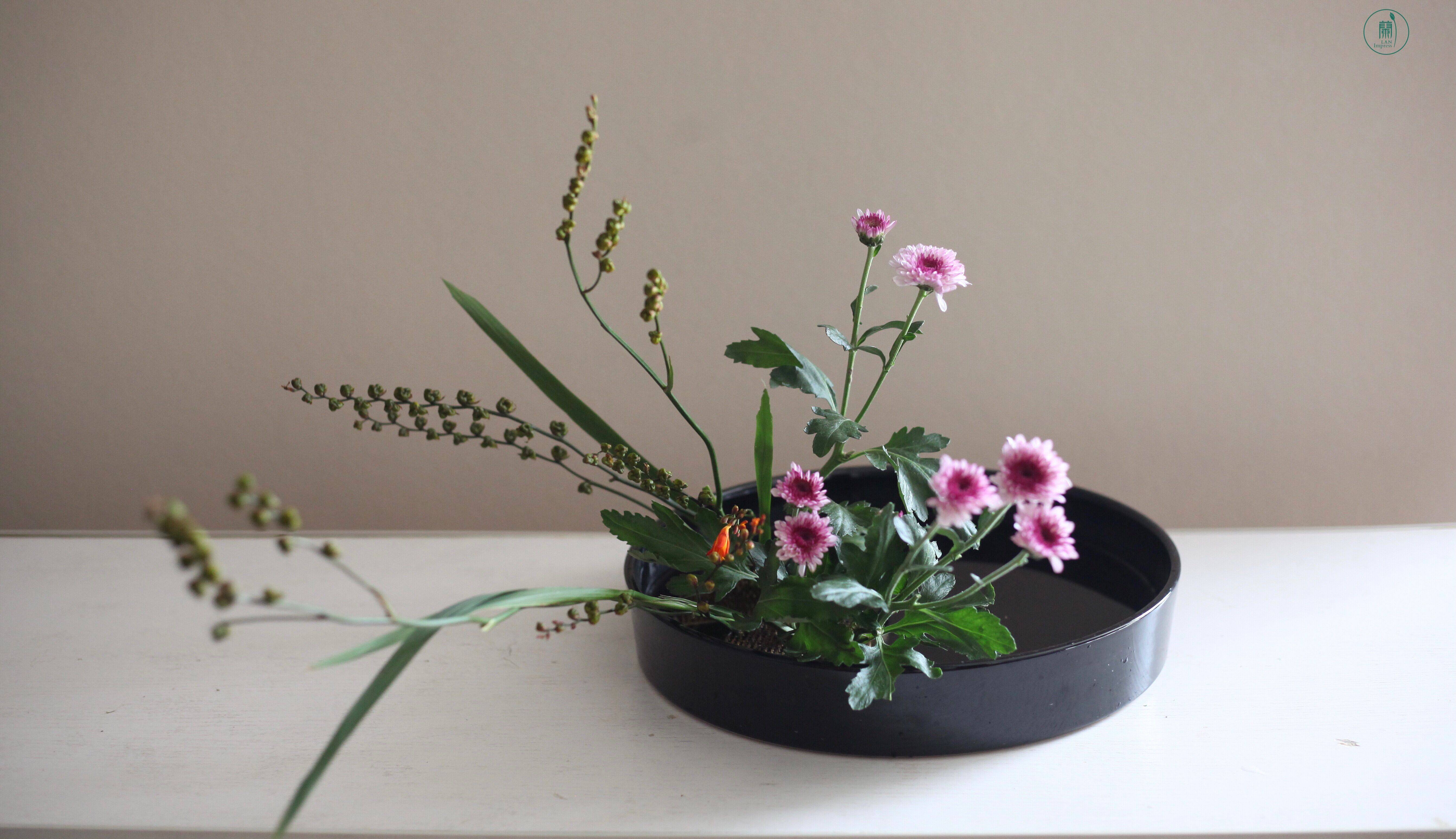 西安小原流兰印象花道|『秋意正阑珊』_插花