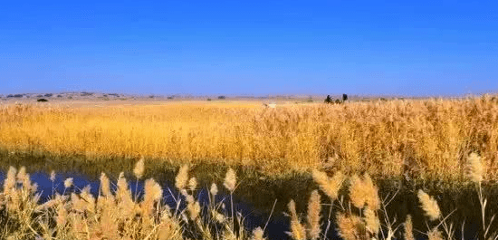 9月5日 9月12日 幸福的三个星座 财富上升 事业有成 好运相伴 家庭和睦 天秤座