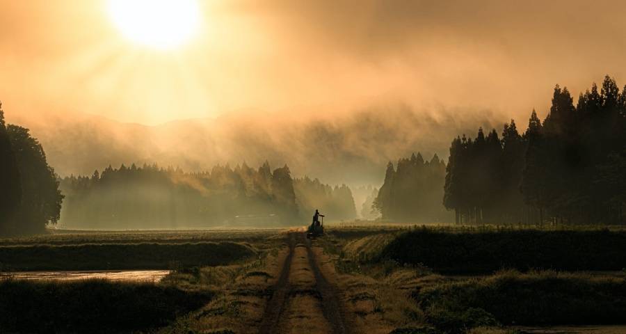 太阳能光伏市场又火了，格力TCL创维们纷纷加码在抢什么？-家电圈官网