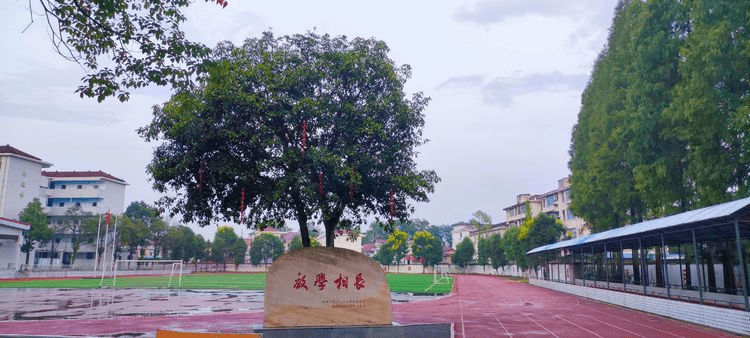 兰海燕|桃源县三阳港镇中学举行2021年下学期开学典礼