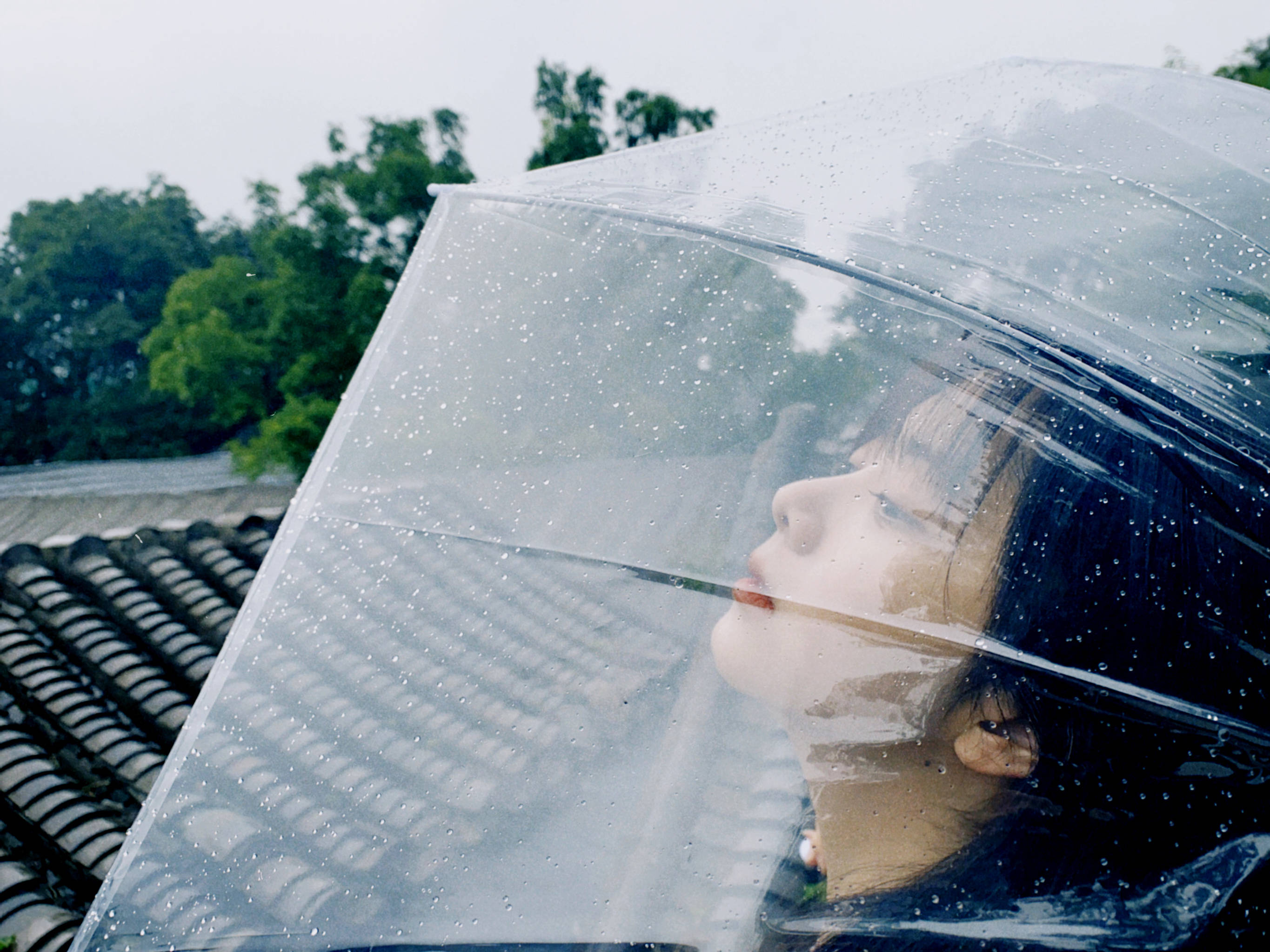 图片中,谭松韵手拿透明雨伞可爱俏皮.