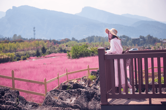 农文旅|@亲爱的老师，酉阳三大景区教师节免费游玩！