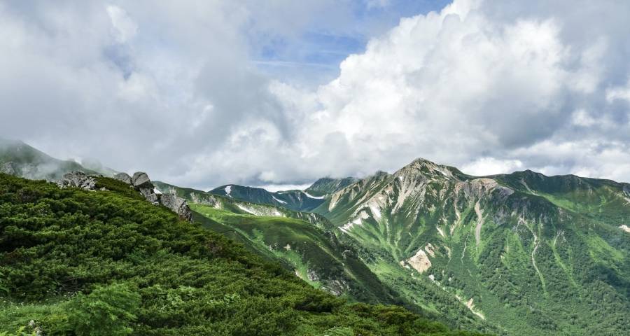 家电业上演日立进东芝退,美的海信三翼鸟TCL京东苏宁发力冲刺-家电圈官网