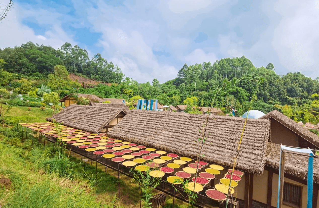 迎双节 庆丰收 欢乐田园丰收季盛大启幕