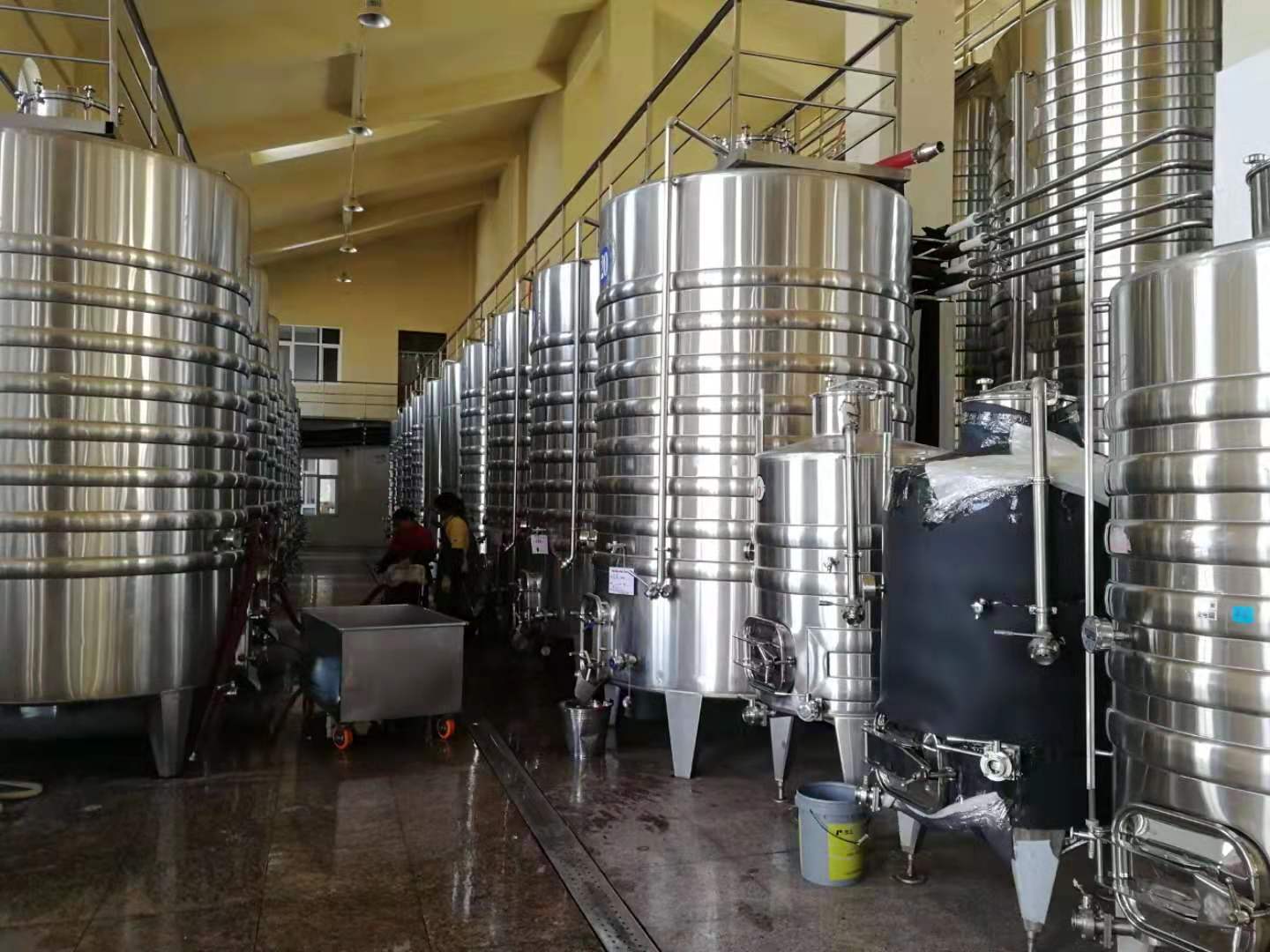 酿酒|一瓶葡萄酒需要多少葡萄才能酿成？