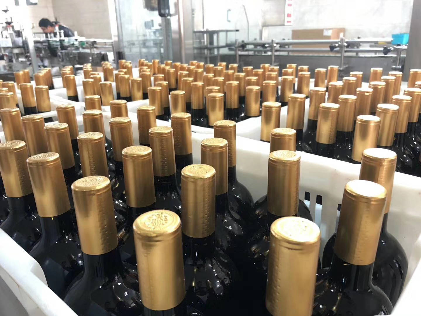 酿酒|一瓶葡萄酒需要多少葡萄才能酿成？