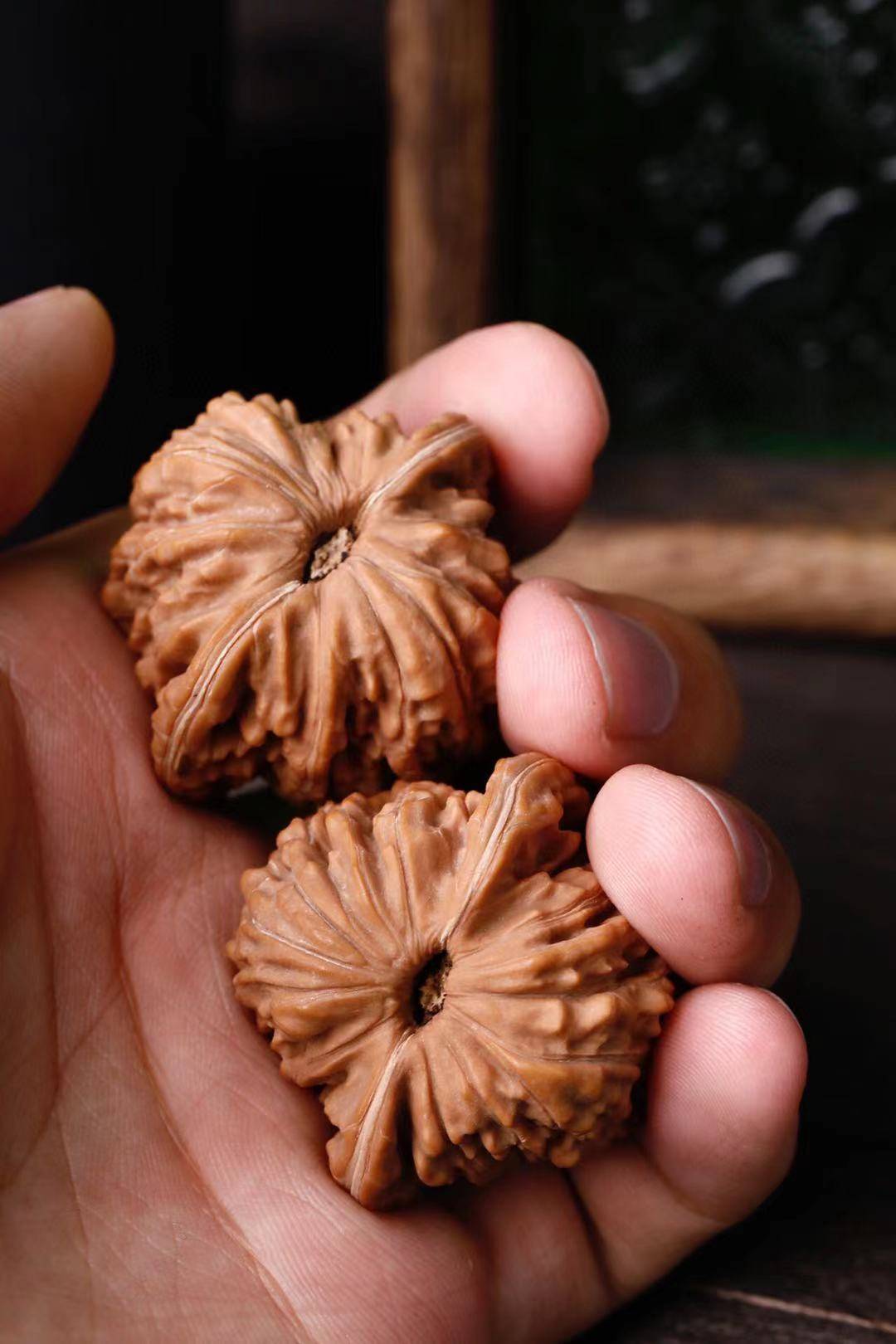 已上就是新核桃到手后的处理方法,彻底干透之后就可以正常的开始打