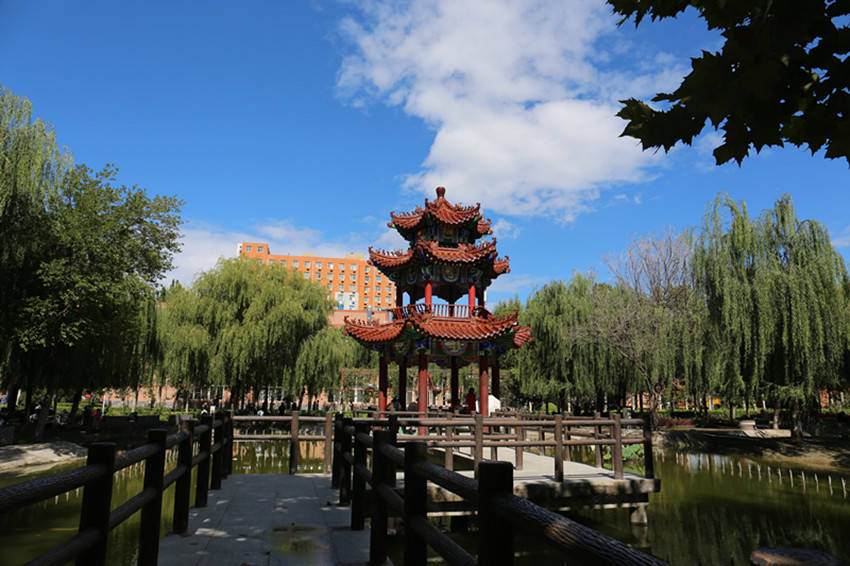 这就是贺阳教育集团的美丽校园