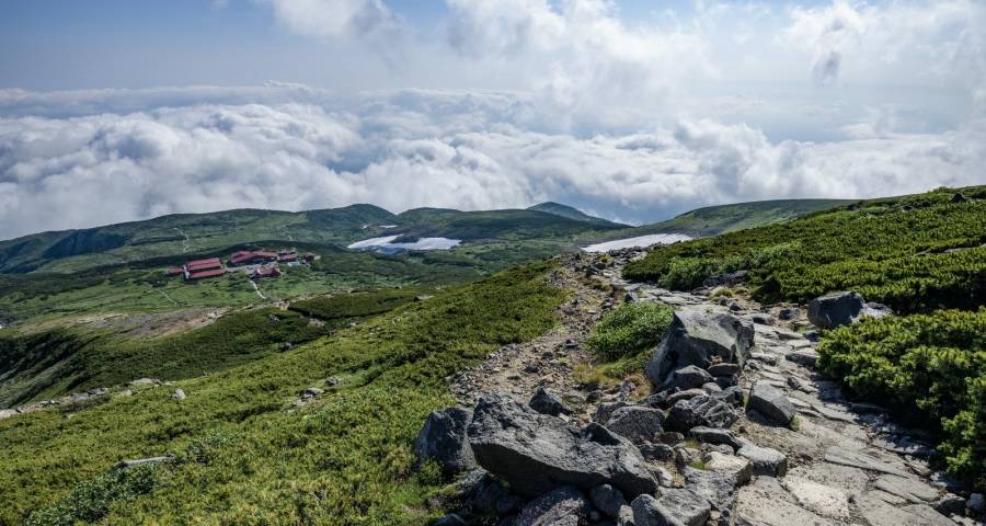 企业500强家电业迎新，美的小天鹅海信华为方太奥克斯TCL开火-家电圈官网