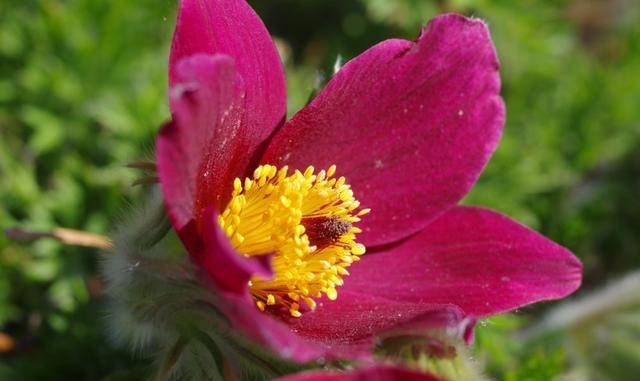 是稚气未脱 还是假自命不凡 目空一切 水瓶有哪些撕不掉的标签 什么