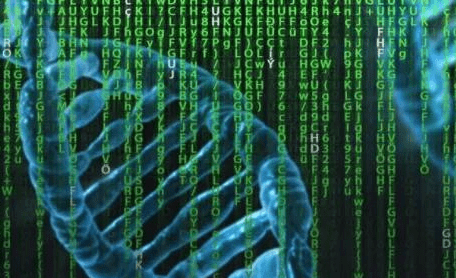 什么是基因突变为什么会基因突变 ffb4037f262b4edf8005a668398e6572.png