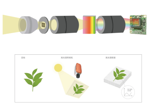 知识科普|高光谱相机FigSpec 系列，掌握高光谱核心科技