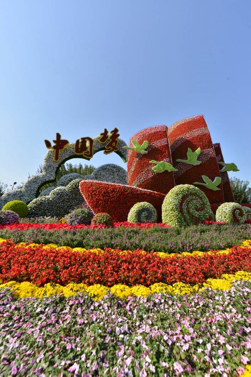 国庆花坛设计立体造型图片