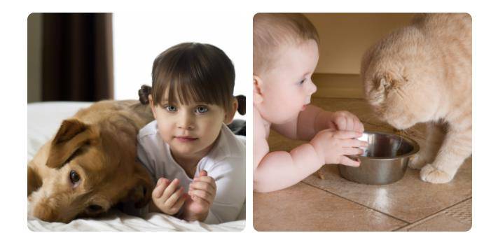 儿童季节性过敏 花粉症 症状