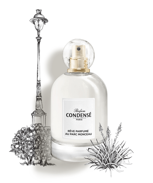 法国珂蒂丝香水携手苏菲玛索漫步巴黎爱与自然有着治愈一切的力量