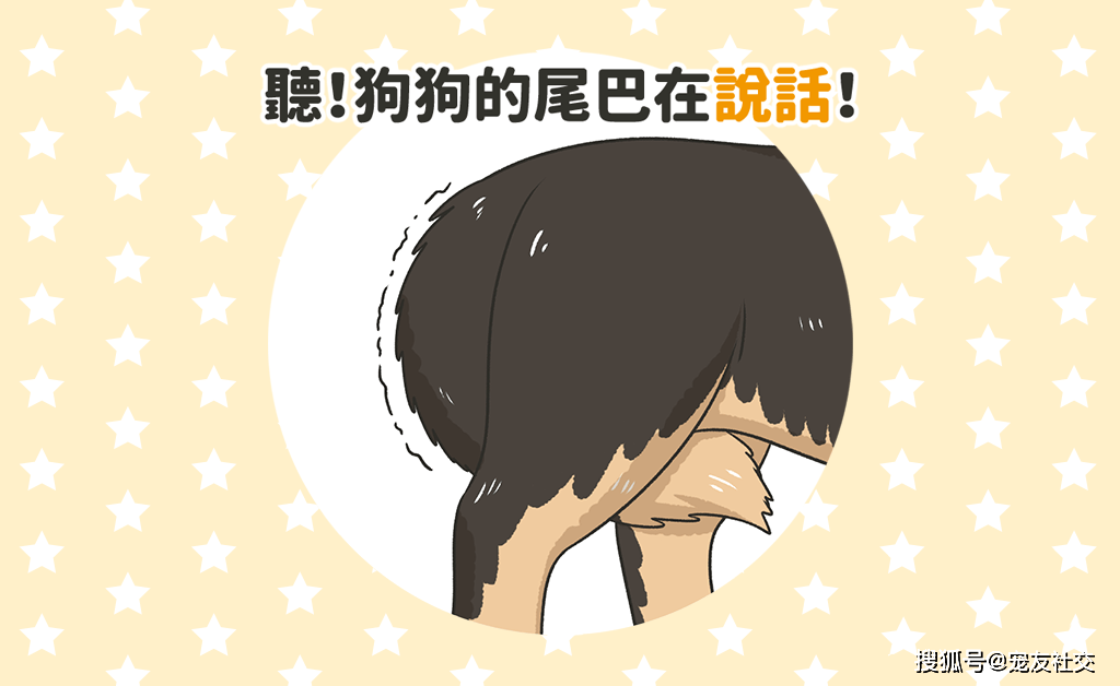 e307675d03164ca48d704ff5632cab24.png