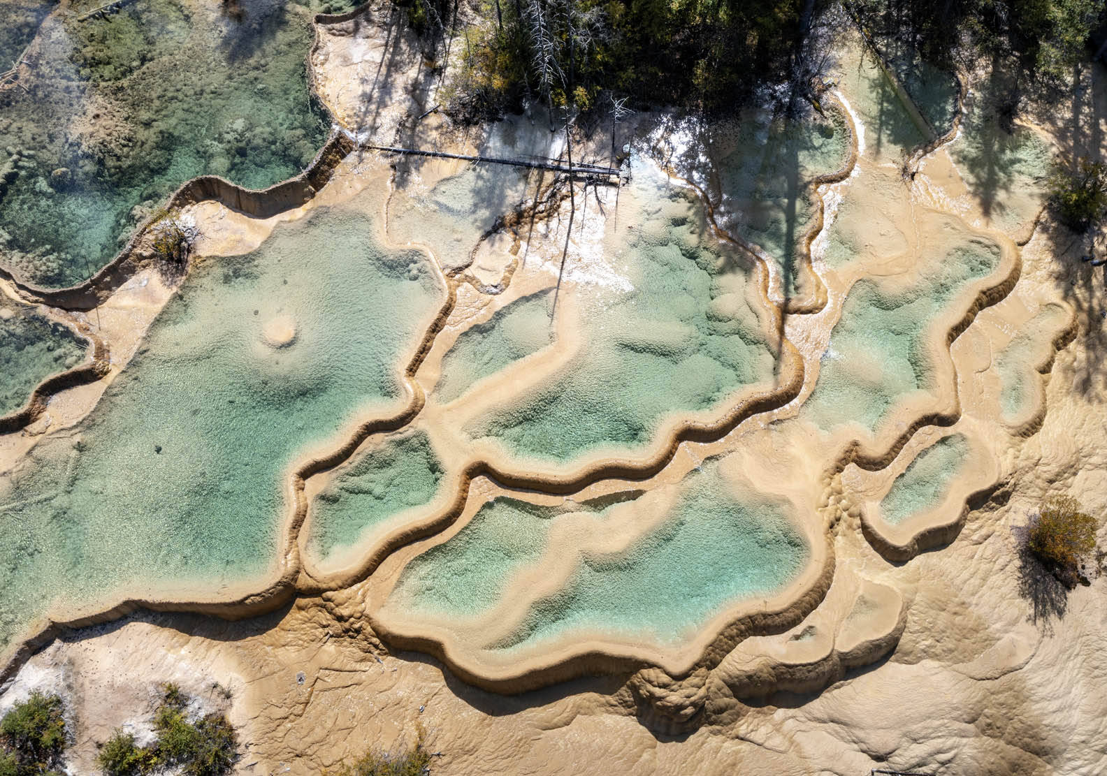 区,阳光明媚,秋意渐浓,原始森林包围的湖泊色彩斑斓,钙化池水清澈透明