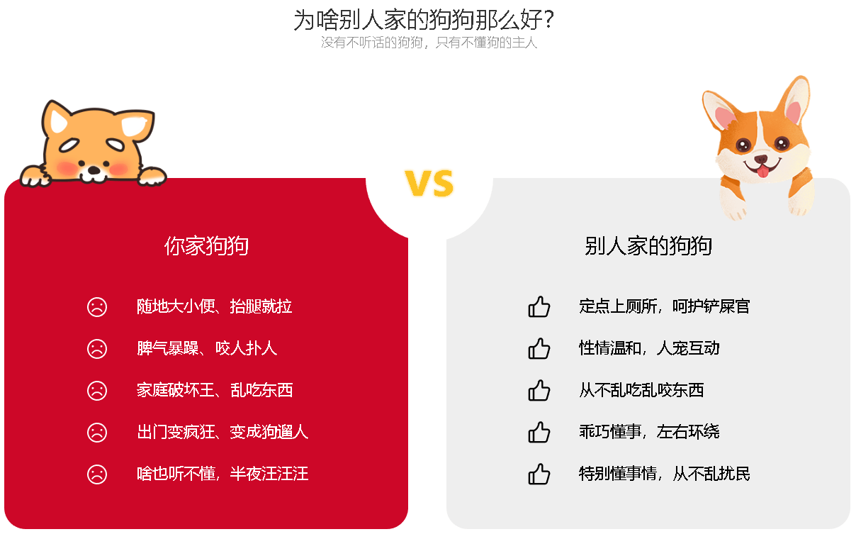 宠物定点排便训练能让柴犬主动到固定地点大小便，减少宠主烦恼