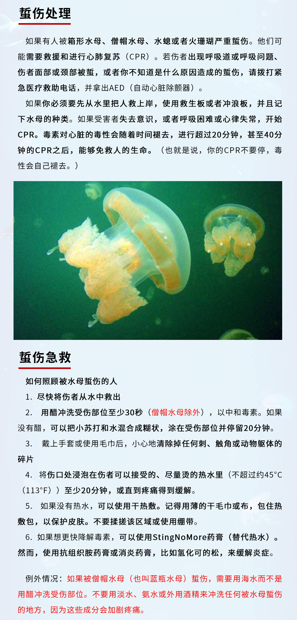 asa美帆联|警惕海洋"隐形杀手"!海蜇蜇伤急救指南